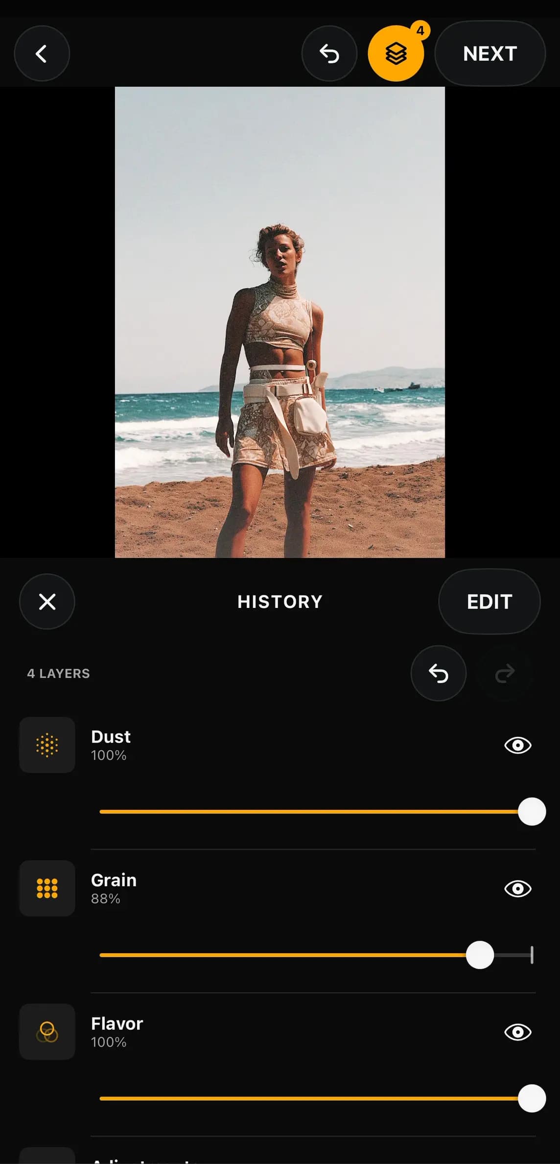Ohrangutang Studio editable history and layer stack